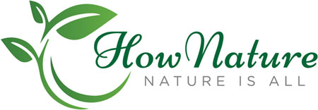 Hownature Nutraceutical Corp logo